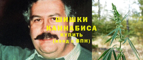 дмт Барнаул
